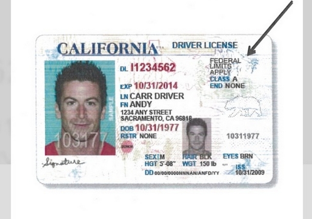 drivers license regular expression not